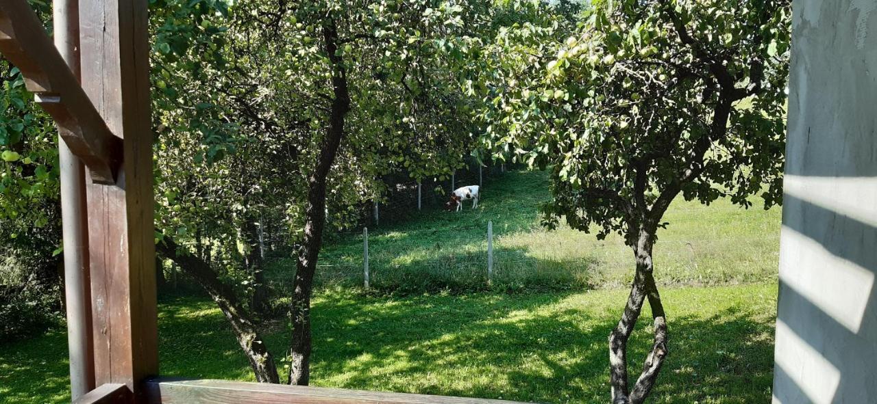 Agroturystyka Nad Czarnym Giby Exterior photo